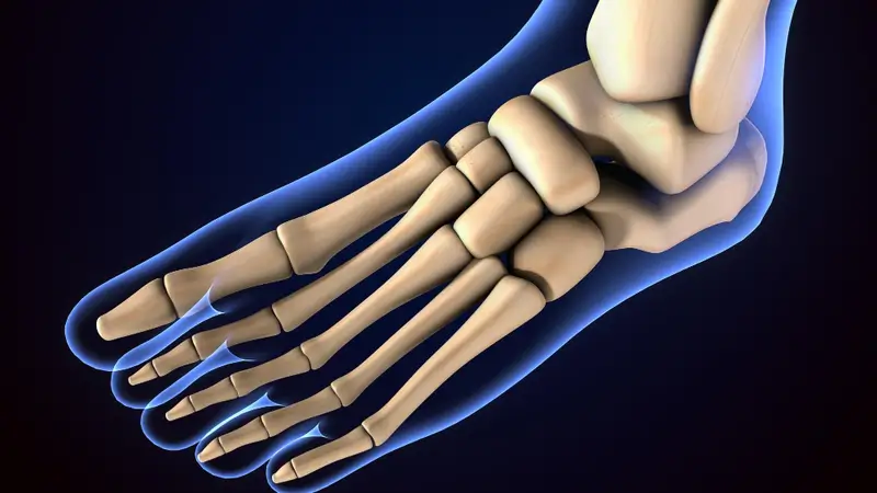 Best Joint Health treatment in naturopathic at Healing Hills