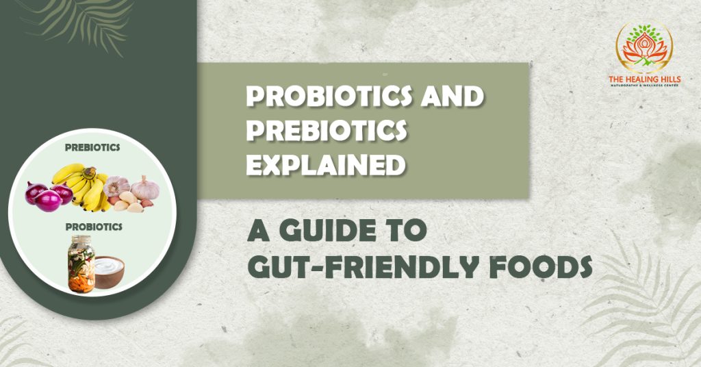 Picture of Probiotics and Prebiotics: A Guide to Gut Health